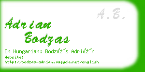 adrian bodzas business card